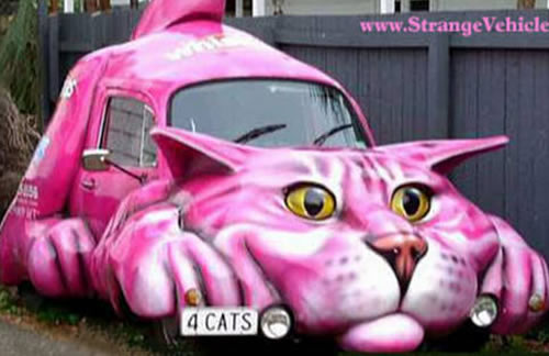Catmovil