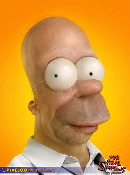 homer_real_peq.jpg