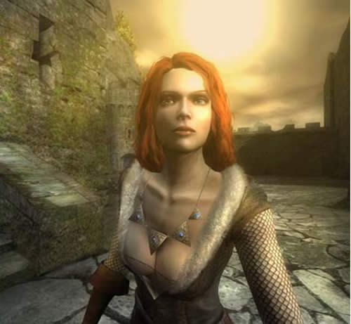 The Witcher