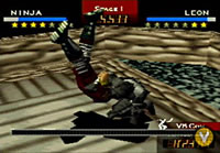 Leon Fighters Destiny
