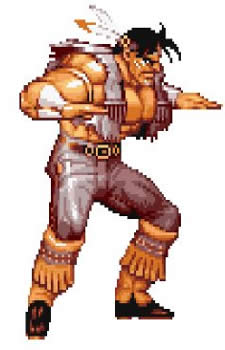 T Hawk