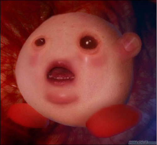 kirby_realista