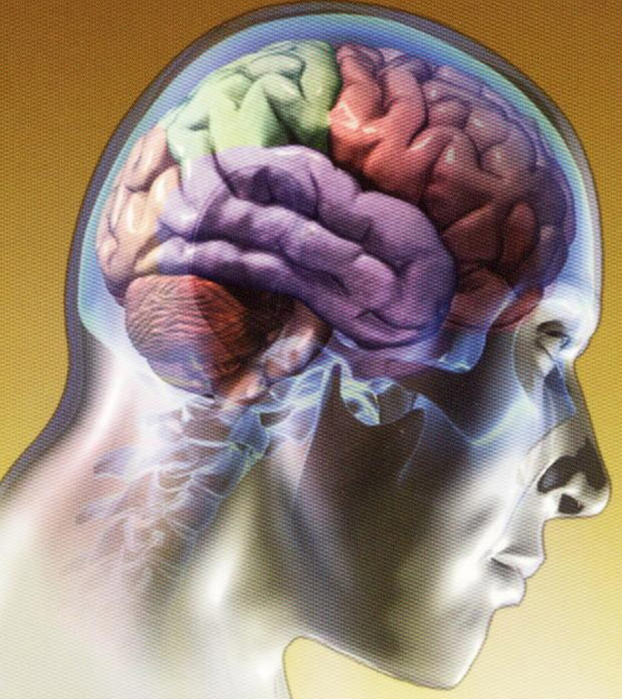 cerebro