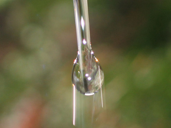 gota_colgando