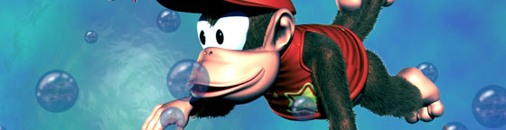 dkc2 dkc2