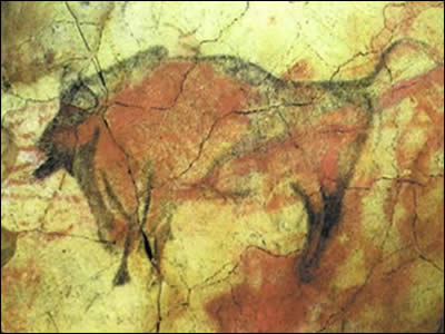 noc_arte_02