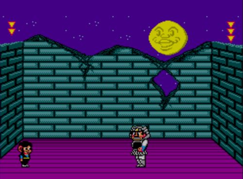 shinobi 1