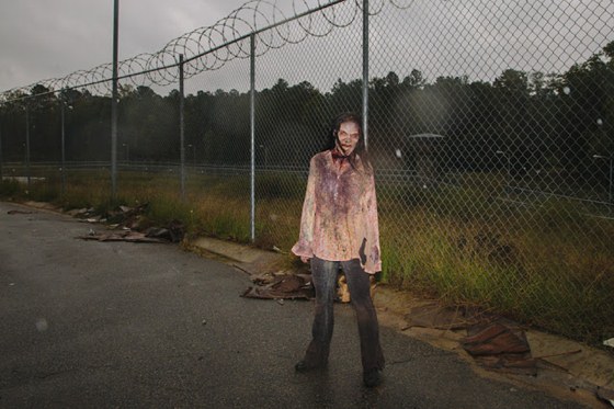 The-Walking-Dead-9