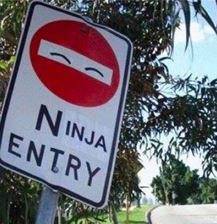 [Imagen: Ninja.jpg]